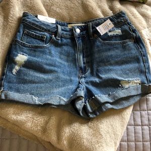 Size 26 Pacsun Mom Shorts